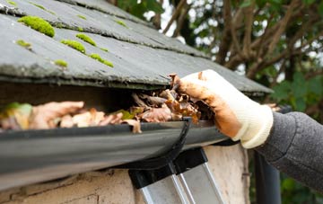 gutter cleaning Greenfield